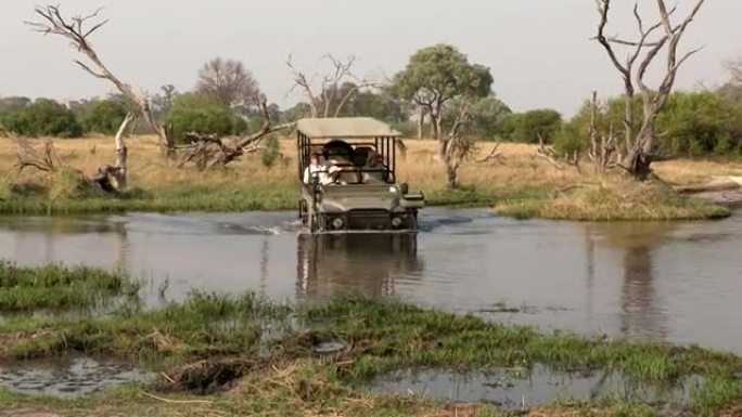 年轻夫妇和狩猎向导乘坐狩猎车穿越博茨瓦纳奥卡万戈河
