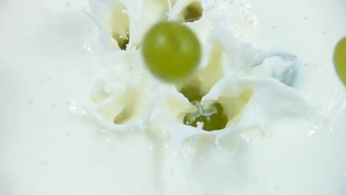 绿色葡萄的浆果在慢动作中落入新鲜的白色牛奶中