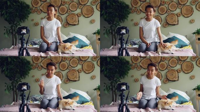 可爱的非裔美国少年博客作者正在录制坐在床上的视频博客，抚摸着可爱的宠物狗并与订户交谈。社交媒体和人的