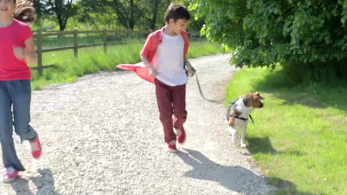 孩子们带着狗沿着乡村小路奔跑