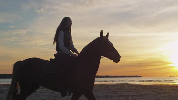 日落灯光下海滩上骑马的年轻骑手的剪影。