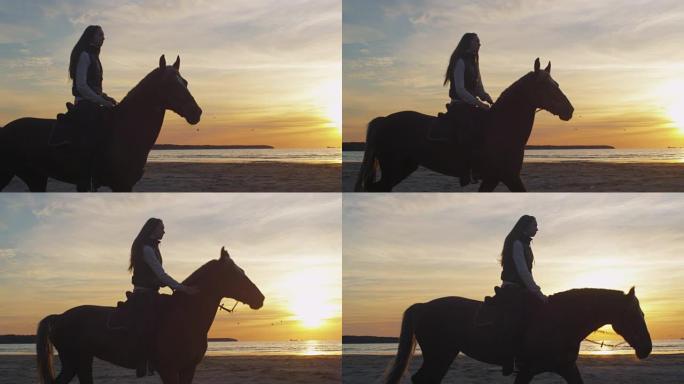 日落灯光下海滩上骑马的年轻骑手的剪影。
