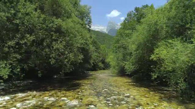 慢动作清澈的河水流经绿色山谷