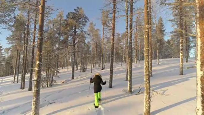 空中: 穿着温暖的冬装的女人在拉普兰森林的深雪上穿着雪鞋