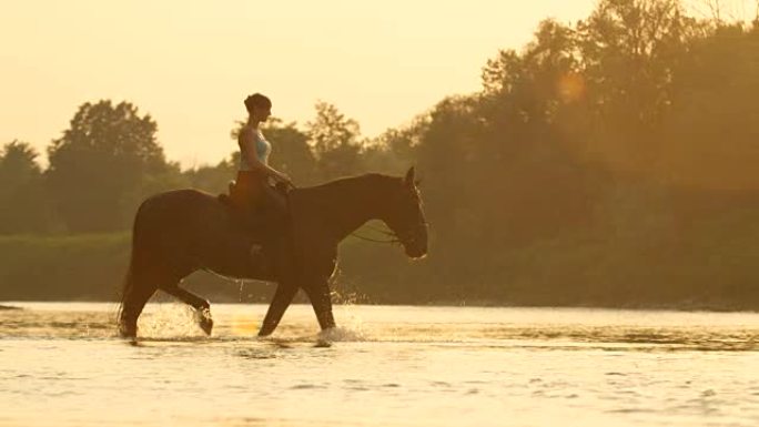 慢动作: 女人在宁静的夏日早晨骑着大马过河