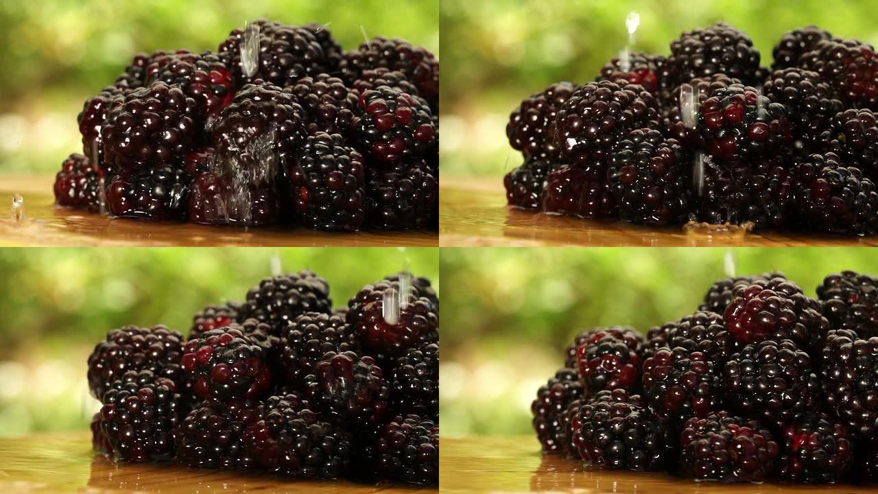 水滴以慢动作落在黑莓上