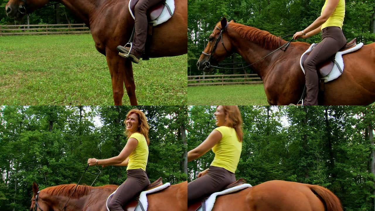 玛西娅的倔强的马玛西娅的倔强的马骑马