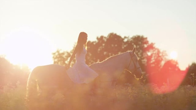 特写: 美丽的女孩在日落时在花田里骑马而没有缰绳