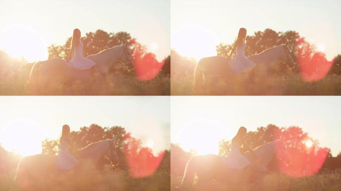 特写: 美丽的女孩在日落时在花田里骑马而没有缰绳