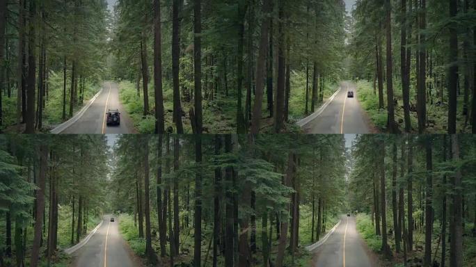 汽车穿过森林天线