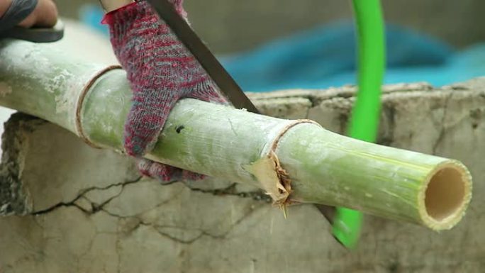 切割竹子