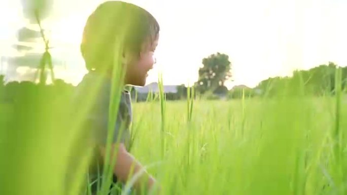 SLO MO小男孩在高高的草地上奔跑，背光。