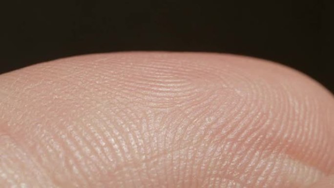 特写宏: 高加索指数皮肤模式指纹的细节