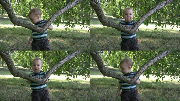 男孩玩低垂的树枝