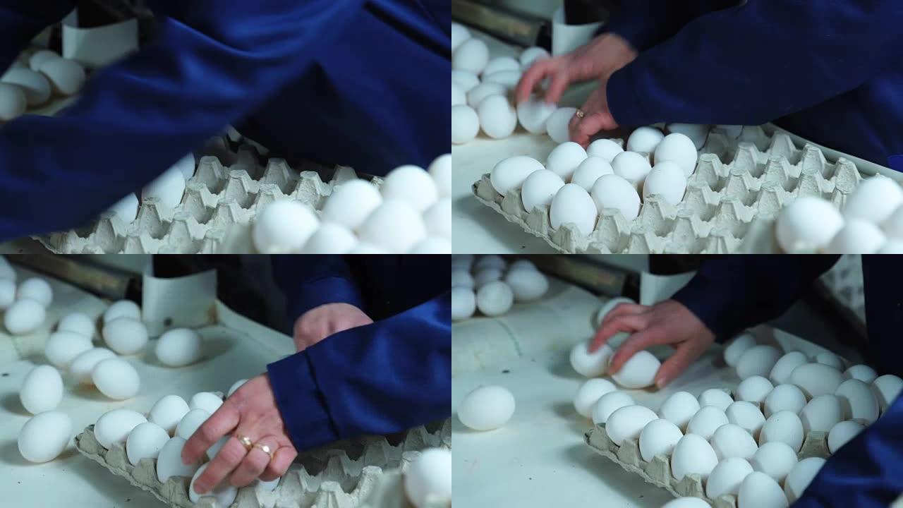 农民在养鸡场分类鸡蛋