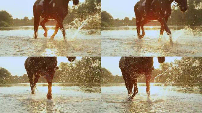 慢动作: 背光马在日落时穿过河水飞溅的水滴