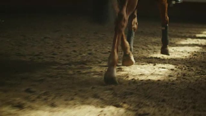 马腿穿过马厩的镜头。
