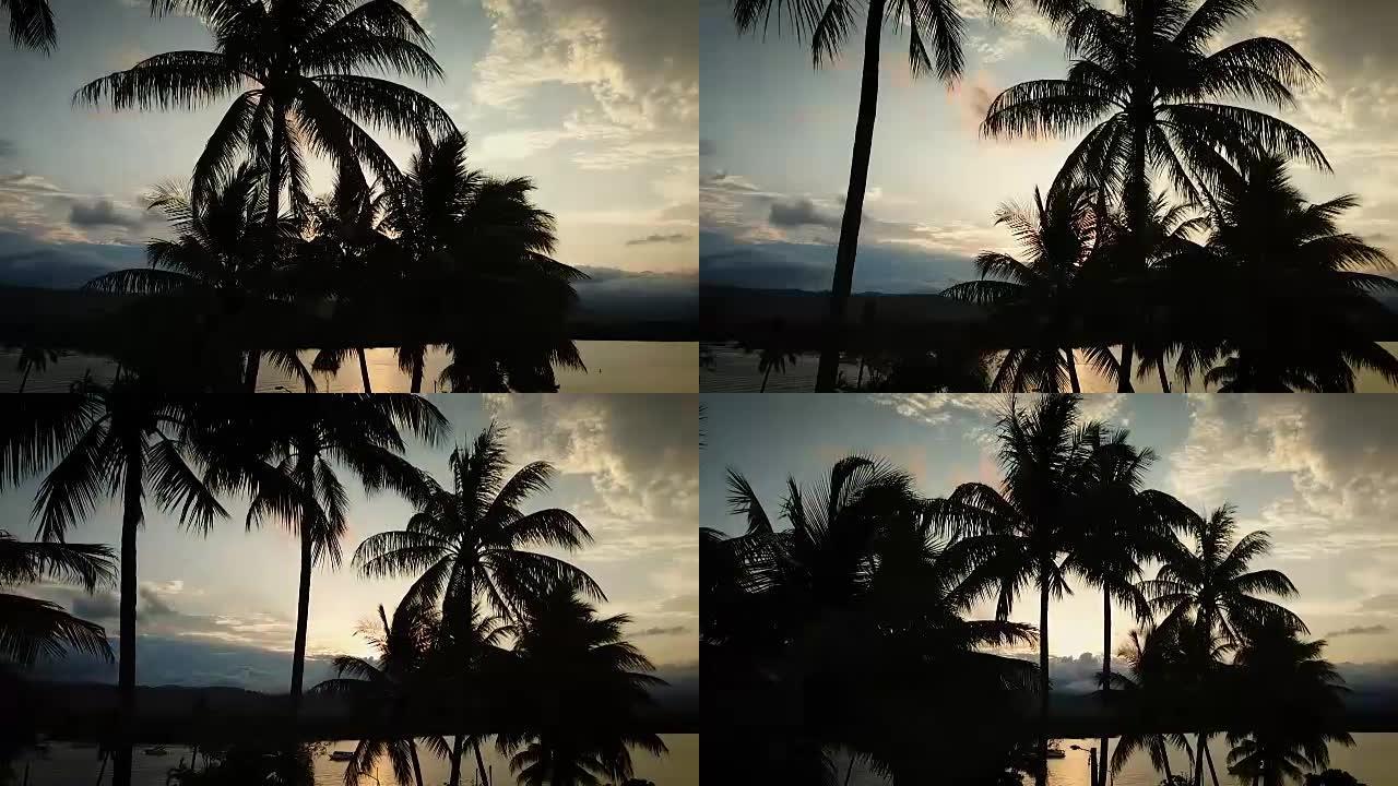 棕榈树的海上日落