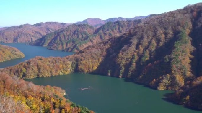 平移镜头: 日本福岛忠达美市高野红叶森林在田仓大坝上方的湖泊视点