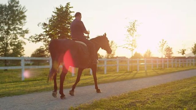 慢动作: 日出时在人行道上行走的马和骑手的后视图