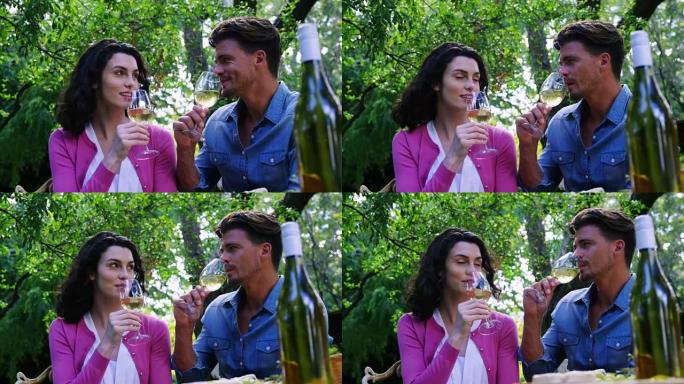 在公园喝白葡萄酒的幸福夫妇