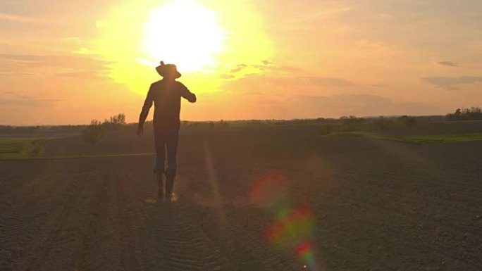 日落时分，在田园诗般的乡村耕地里，剪影农夫女士背着锄头