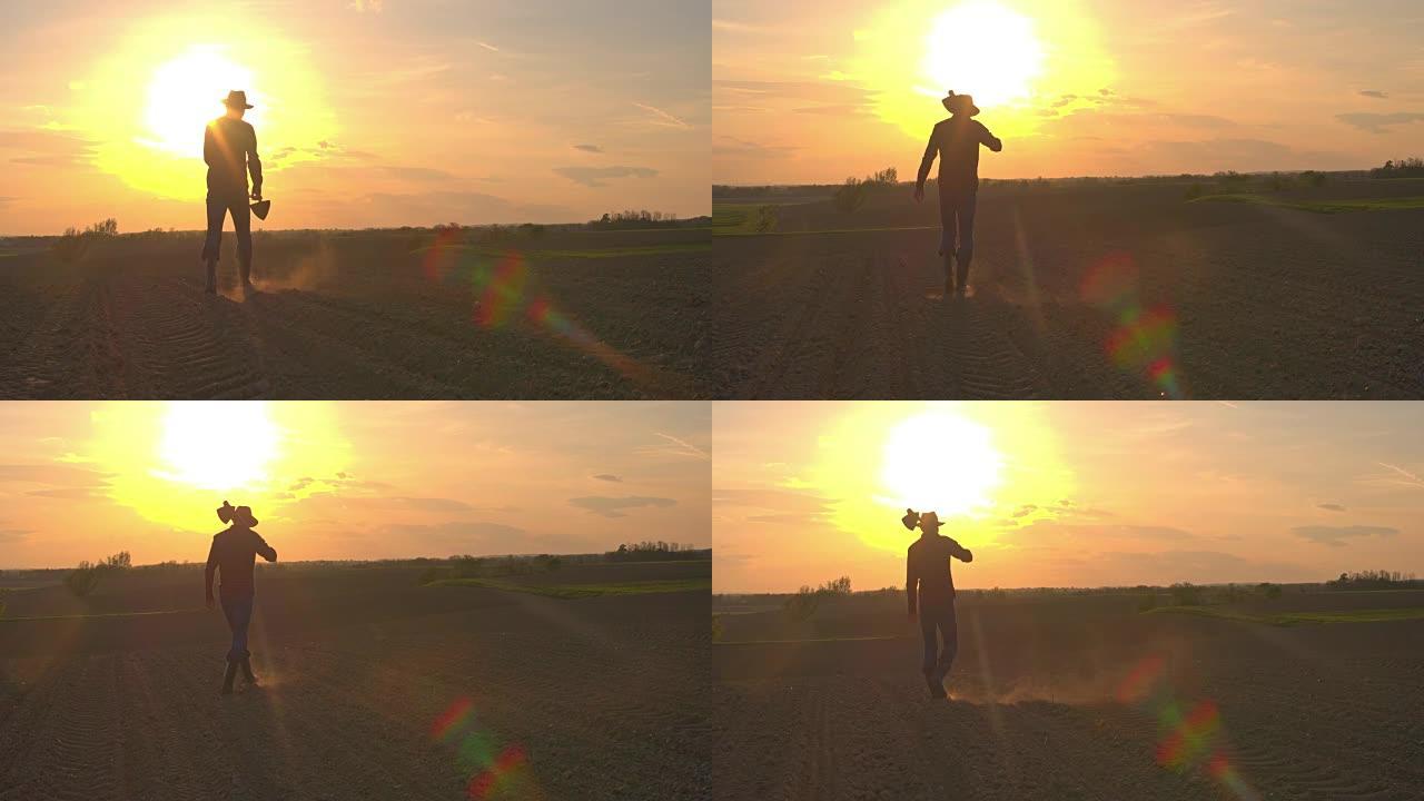 日落时分，在田园诗般的乡村耕地里，剪影农夫女士背着锄头
