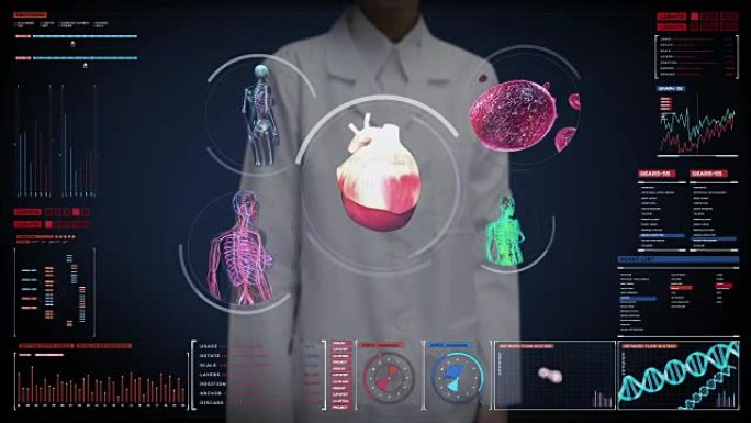 女医生触摸数字屏幕，扫描血管、淋巴、心脏、循环系统中的数字显示。蓝色x射线视图。