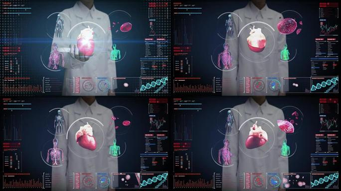 女医生触摸数字屏幕，扫描血管、淋巴、心脏、循环系统中的数字显示。蓝色x射线视图。