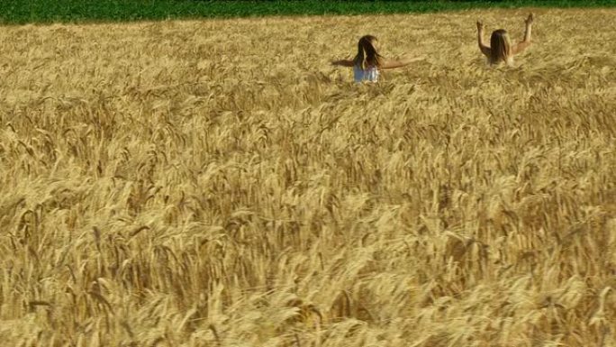 高清起重机: 在小麦中奔跑的女孩