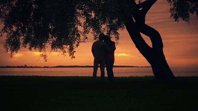 一对情侣呆在一棵大树下，互相拥抱，看日落
