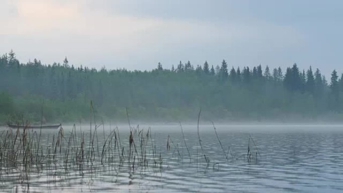 湖上有雾。