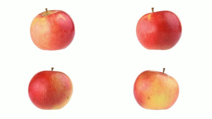 高清循环: 苹果苹果