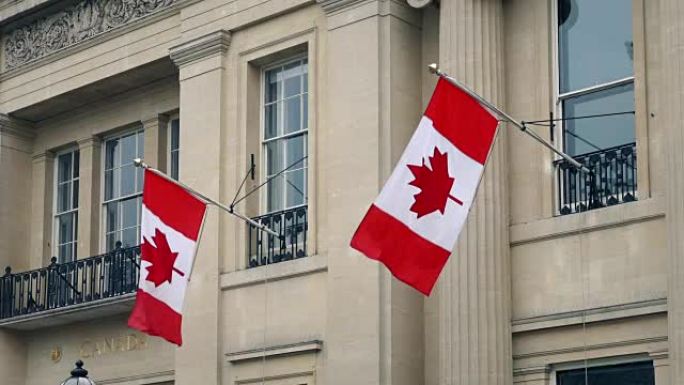 大楼前面的加拿大国旗
