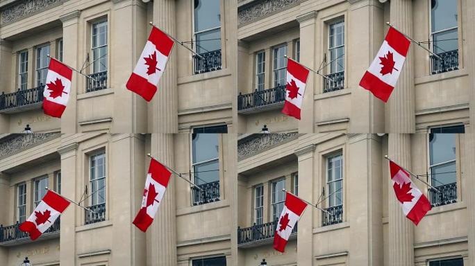 大楼前面的加拿大国旗