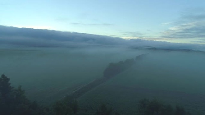 冬季早晨，空中浓雾在广阔的草地上蔓延