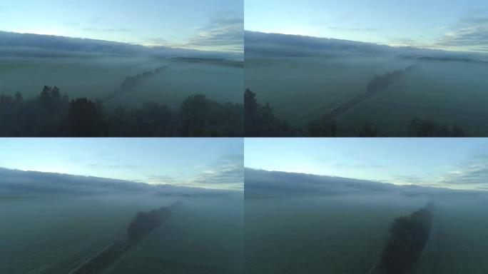冬季早晨，空中浓雾在广阔的草地上蔓延