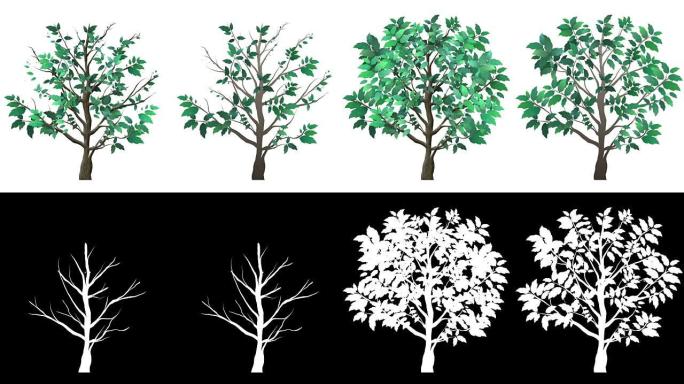 孤立生长的树动画大树生长万物生长开枝散叶