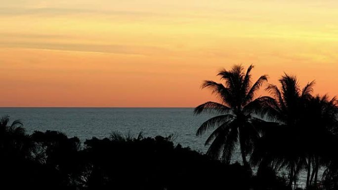 美丽的热带橙色日落与海洋和棕榈树