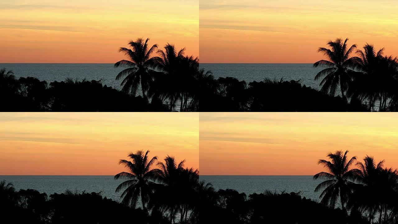 美丽的热带橙色日落与海洋和棕榈树