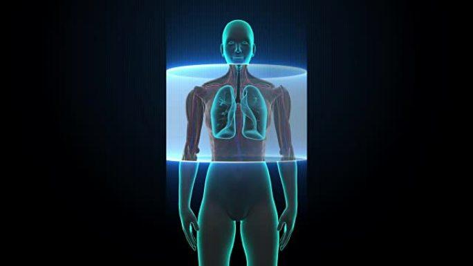 扫描体。旋转女性肺，肺诊断。X射线图像。