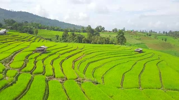 泰国北部清迈Mae Chaem pa pong pieng的dorn Rice Terrace水稻梯