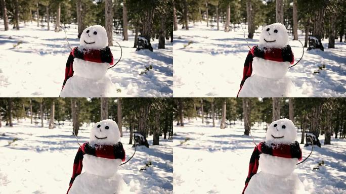 晴天雪山森林公园雪人