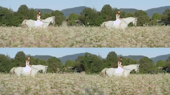 慢动作: 穿着白色连衣裙的微笑女孩在盛开的田野里骑着白马