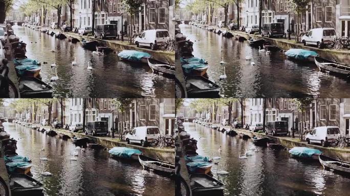 荷兰阿姆斯特丹。有水鸟和船只的河流。秋天城市plase野天鹅和鸭子的奇妙风景
