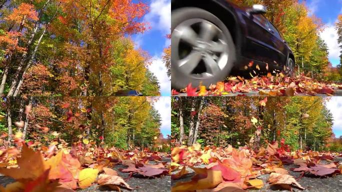 慢动作蓝色SUV汽车驶过五颜六色的森林，旋转秋叶