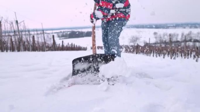 女人在下雪的冬季葡萄园向相机铲雪，超级慢动作