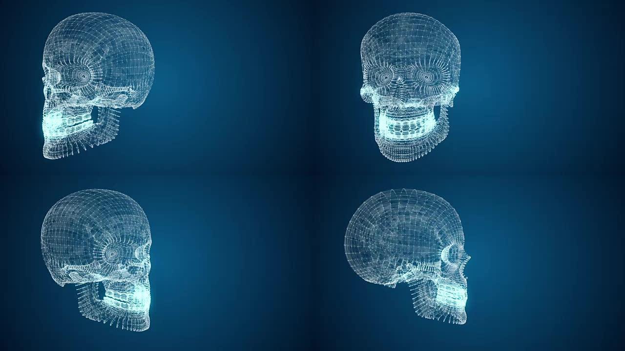 线和点抽象的人类头骨的3d模型。