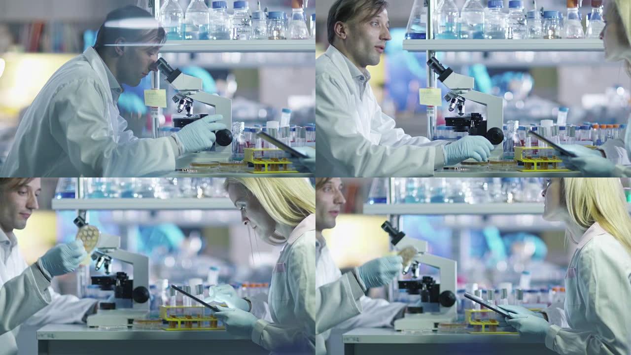 两名科学家正在实验室里使用显微镜和平板电脑。