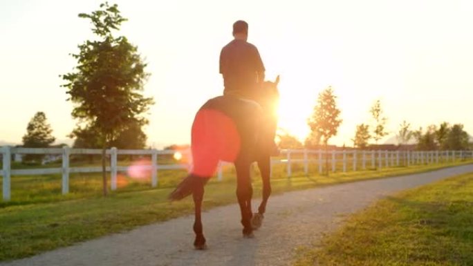 特写: 年长的骑马者在日出时骑马享受时光